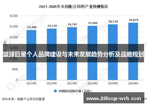 篮球巨星个人品牌建设与未来发展趋势分析及战略规划