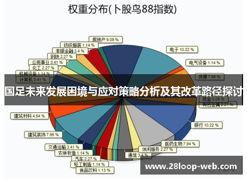 国足未来发展困境与应对策略分析及其改革路径探讨